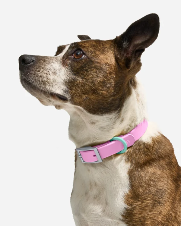 Waterproof Collar