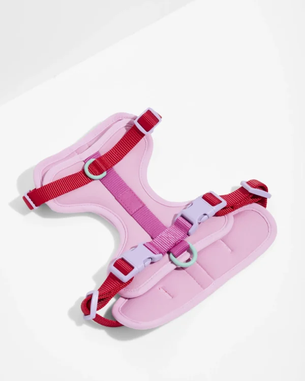 WO_VM_Harness_Bubblegum_PDP_01_4x5_Web Dog Harness